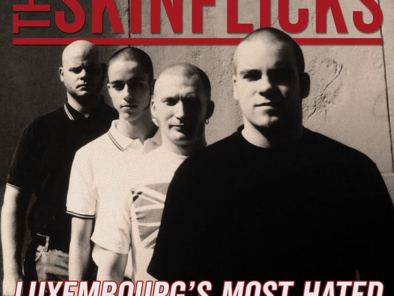 The Skinflicks