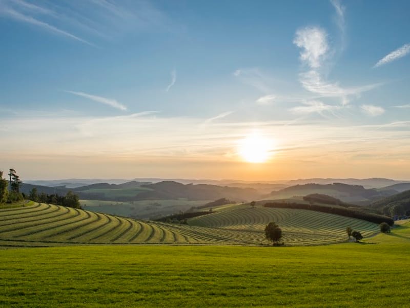 Dritter Ort im Holz- und Touristikzentrum